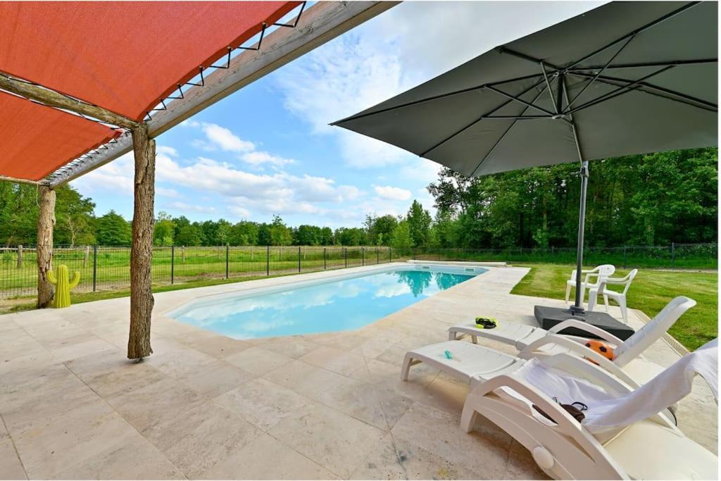 L'Evasion En Pierre Piscine Et Etang Prive Villa Sevremoine Luaran gambar