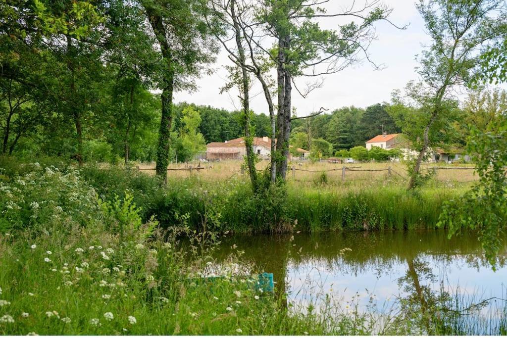 L'Evasion En Pierre Piscine Et Etang Prive Villa Sevremoine Luaran gambar